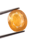 Yellow Sapphire (Pukhraj) (10 Carat, 10.9 Ratti)