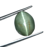 Premium Cats Eye Lehsunia 8.18 Carat stone from World of Oorja