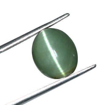 Natural Cats Eye stone, 6.86 carat, premium 7.47 ratti Lehsunia for astrology