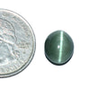Cats Eye (Lehsunia) (5.84 Carat, 6.36 Ratti)