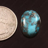 Turquoise (Firoza) (14.60 Carat, 15.91 Ratti)