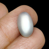 World of Oorja certified Moonstone Chandrakant 7.54 Carat gemstone for healing