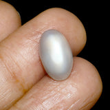 Authentic Moonstone gem, Chandrakant, 8.12 ratti,
