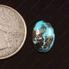 Turquoise (Firoza) (8.9 Carat, 9.7 Ratti)