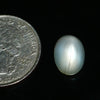 Moonstone (Chandrakant) (4.64 Carat, 5.09 Ratti)