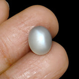 World of Oorja natural Moonstone Chandrakant gemstone 5.51 Carat, 6.04 Ratti