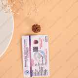 World of Oorja authentic 8 Mukhi Rudraksha from Nepal