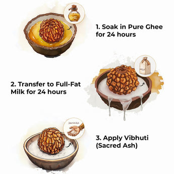Instructions on how to care for Rudraksha beads with images and text.