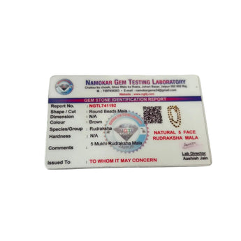 Gem Testing Laboratory identification card for 5 mukhi rudraksha mala on a white background
