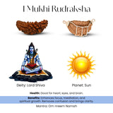 1 Mukhi Rudraksha with Lord Shiva statue, sun icon, and text on a white background