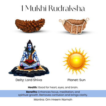 1 Mukhi Rudraksha with Lord Shiva statue, sun icon, and text on a white background