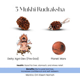 Three Mukhi Rudraksha with Agni Dev, Mars, and health benefits on a white background