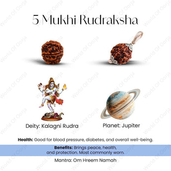 5 Mukhi Rudraksha with Kalagni Rudra deity and Jupiter planet illustration on a white background.