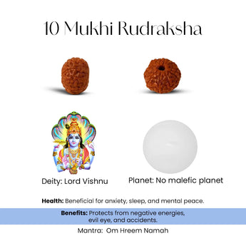 10 Mukhi Rudraksha beads with Lord Vishnu and planetary information on a white background