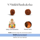 8 Mukhi Rudraksha with Lord Ganesha and Rahu, on a white background
