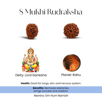 8 Mukhi Rudraksha with Lord Ganesha and Rahu, on a white background