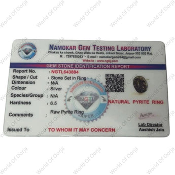 Business Success Combo - WorldOfOorja