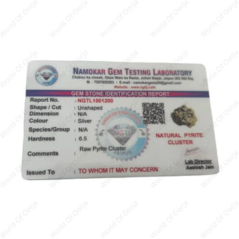 Business Success Combo - WorldOfOorja