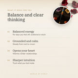 7 Chakra Crystal Pen benefits – World of Oorja