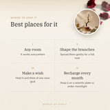 Clear Quartz Crystal Tree – best places for it, how to use and where to keep it