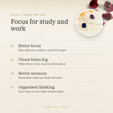 Concentration Kit benefits – World of Oorja