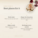 Carnelian Crystal Tree – best places for it, how to use and where to keep it