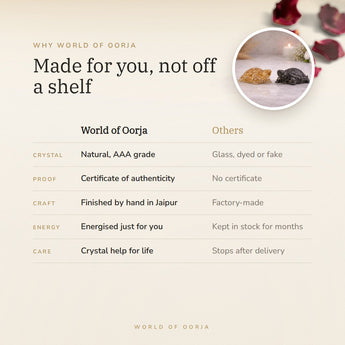 Why World of Oorja – Vastu Wealth Magnet Tortoise Combo