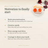 Carnelian Studs benefits – World of Oorja
