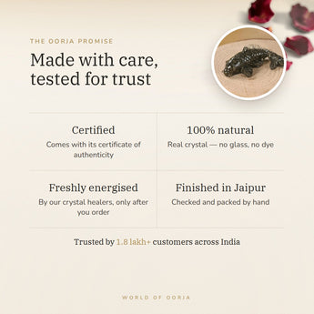 The Oorja promise – Pyrite Crystal Fish