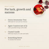 The Fortune Garden Gift Set benefits – World of Oorja