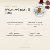 Tiger Eye Ganesh Ji Murti – welcome ganesh ji home, how to use and where to keep it