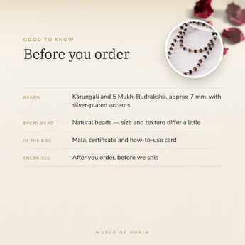 Silver Plated Rudraksha Karungali Mala – good to know before you order: what is in the box, energised after order