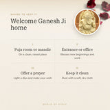 Serpentine Ganesh Ji Murti (480 g) – welcome ganesh ji home, how to use and where to keep it