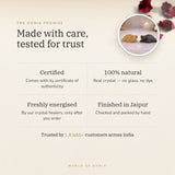 The Oorja promise – Vastu Wealth Magnet Tortoise Combo