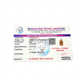 Career Booster Trio - WorldOfOorja