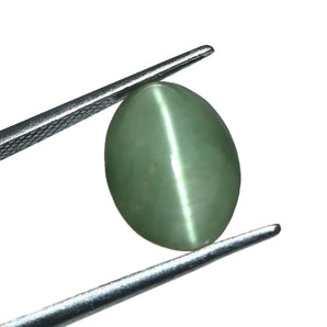 Cats Eye (Lehsunia) (5.72 Carat, 6.23 Ratti) - WorldOfOorja