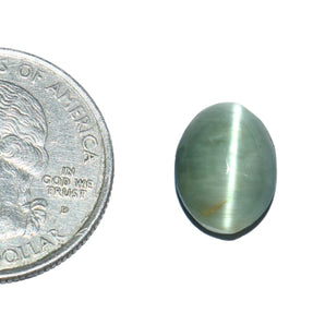 Cats Eye (Lehsunia) (5.89 Carat, 6.42 Ratti) - WorldOfOorja