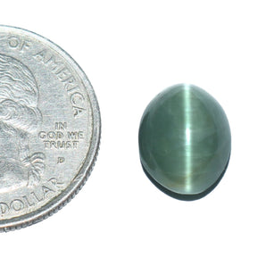 Cats Eye (Lehsunia) (6.17 Carat, 6.72 Ratti) - WorldOfOorja
