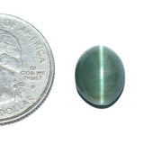 Cats Eye (Lehsunia) (6.17 Carat, 6.72 Ratti) - WorldOfOorja