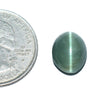 Cats Eye (Lehsunia) (6.17 Carat, 6.72 Ratti)