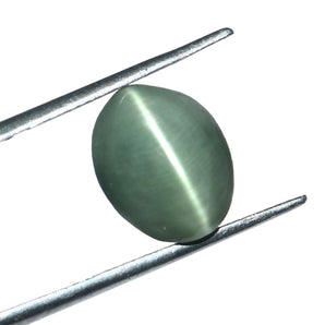 Cats Eye (Lehsunia) (6.80 Carat, 7.41 Ratti) - WorldOfOorja