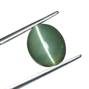 Cats Eye (Lehsunia) (6.86 Carat, 7.47 Ratti) - WorldOfOorja