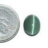 Cats Eye (Lehsunia) (6.86 Carat, 7.47 Ratti)