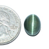 Cats Eye (Lehsunia) (7.12 Carat, 7.76 Ratti)
