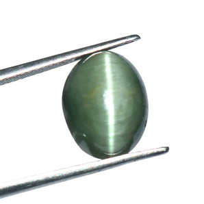 Cats Eye (Lehsunia) (7.12 Carat, 7.76 Ratti) - WorldOfOorja