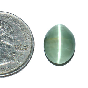 Cats Eye (Lehsunia) (7.64 Carat, 8.32 Ratti) - WorldOfOorja
