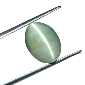 Cats Eye (Lehsunia) (7.64 Carat, 8.32 Ratti) - WorldOfOorja