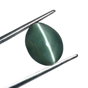Cats Eye (Lehsunia) (7.69 Carat, 8.38 Ratti) - WorldOfOorja