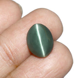 Cats Eye (Lehsunia) (7.69 Carat, 8.38 Ratti) - WorldOfOorja
