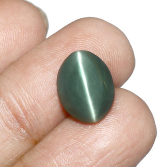 Cats Eye (Lehsunia) (7.69 Carat, 8.38 Ratti) - WorldOfOorja
